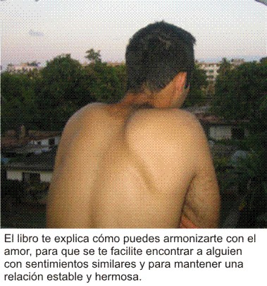 La armonizacion con el amor es analizada en el libro eBook e-book como se hace el amor con amor, como hacer el amor, como tener una relacion de pareja feliz
